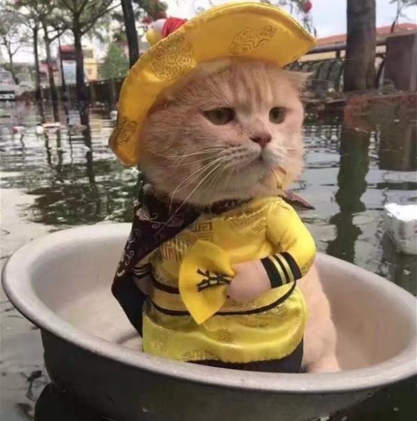 點擊查看大圖 點擊查看大圖