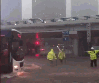 點擊查看大圖 點擊查看大圖