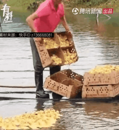 點擊查看大圖 點擊查看大圖