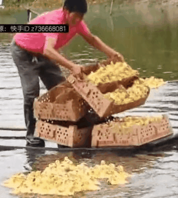 點擊查看大圖 點擊查看大圖