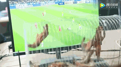 點擊查看大圖 點擊查看大圖