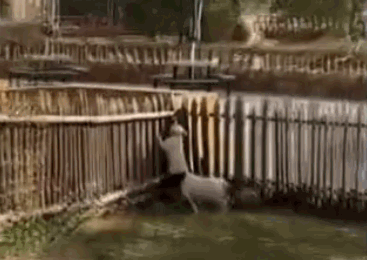 點擊查看大圖 點擊查看大圖