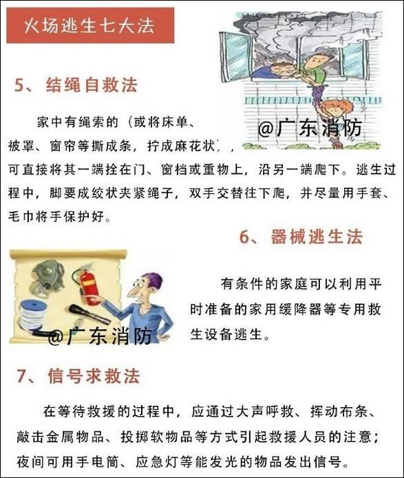 點擊查看大圖