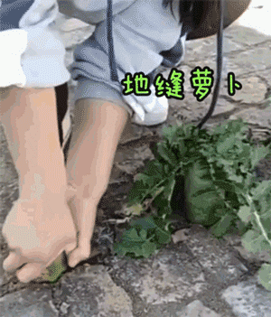 點擊查看大圖 點擊查看大圖