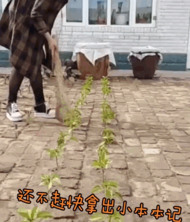 點擊查看大圖 點擊查看大圖