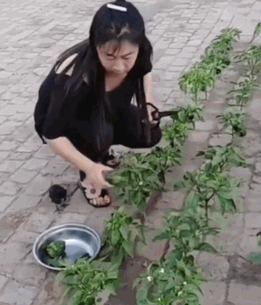 點擊查看大圖 點擊查看大圖