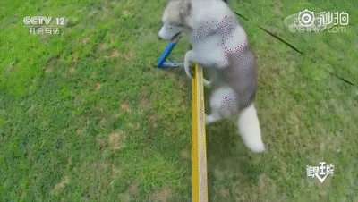 點擊查看大圖 點擊查看大圖