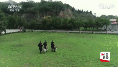 點擊查看大圖 點擊查看大圖