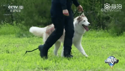 點擊查看大圖 點擊查看大圖