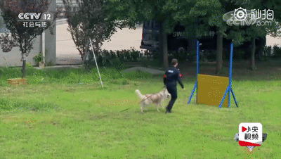 點擊查看大圖 點擊查看大圖