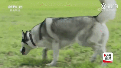 點擊查看大圖 點擊查看大圖