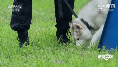 點擊查看大圖 點擊查看大圖