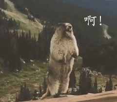 點擊查看大圖 點擊查看大圖