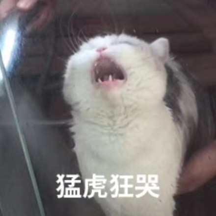 點擊查看大圖 點擊查看大圖