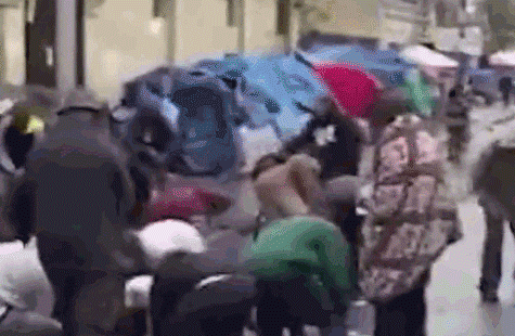 點擊查看大圖 點擊查看大圖