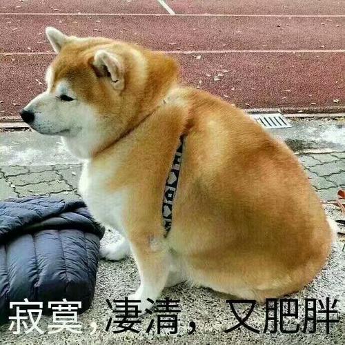 點擊查看大圖 點擊查看大圖