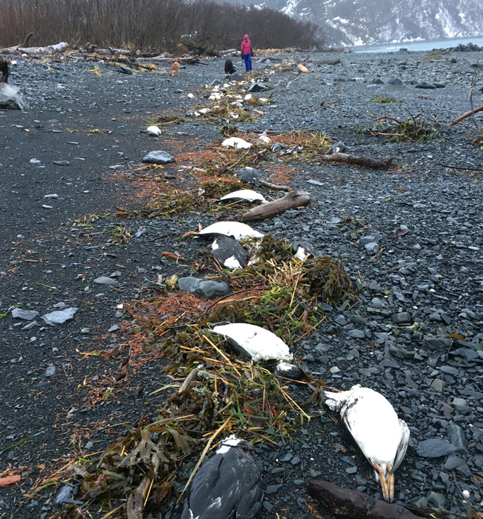 點擊查看大圖 點擊查看大圖