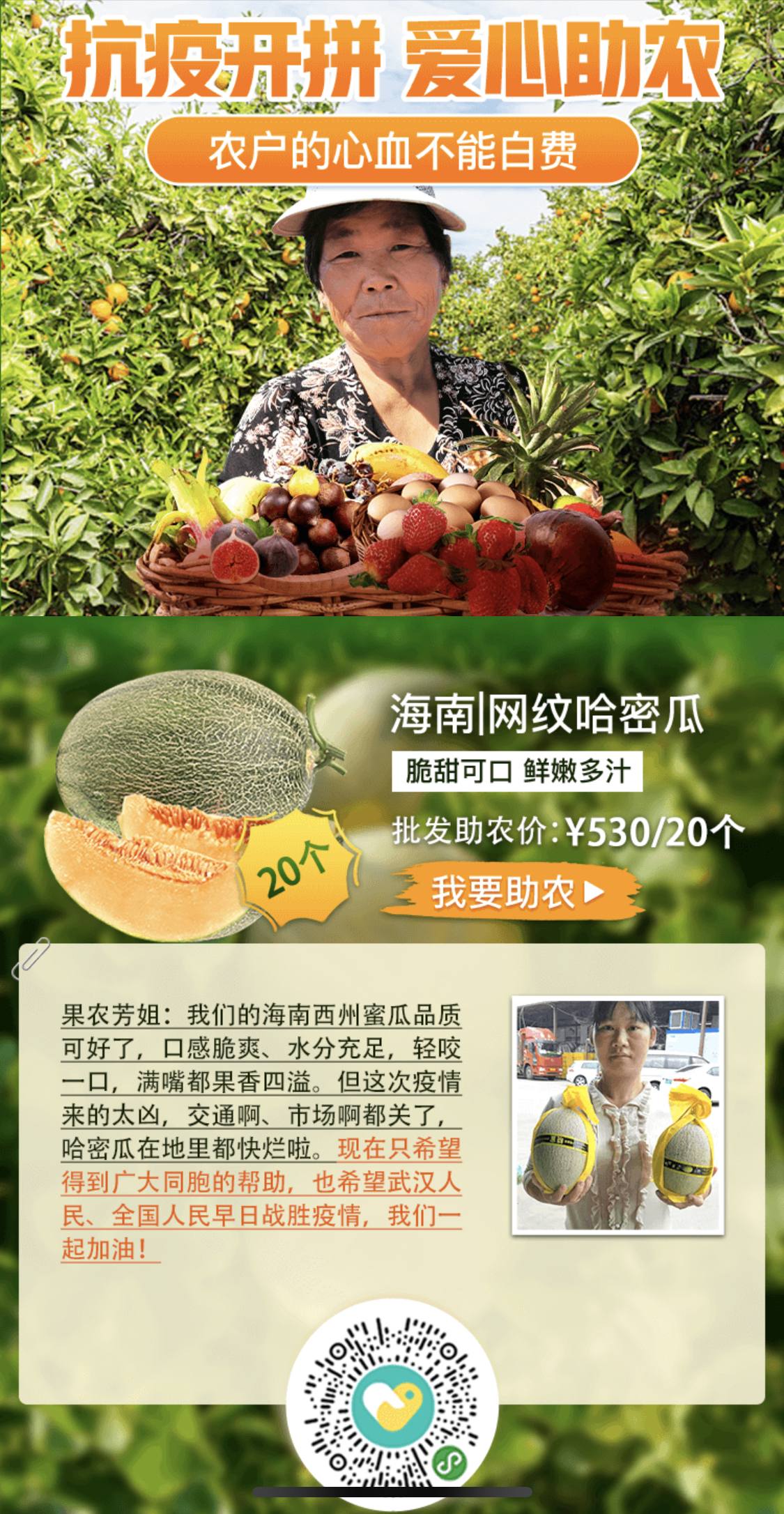 點擊查看大圖 點擊查看大圖