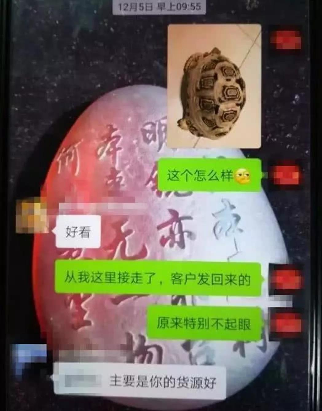 點擊查看大圖