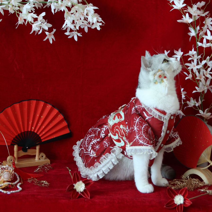 點擊查看大圖 點擊查看大圖