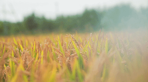 點擊查看大圖 點擊查看大圖