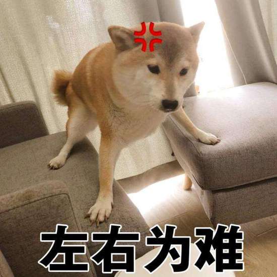 點擊查看大圖 點擊查看大圖