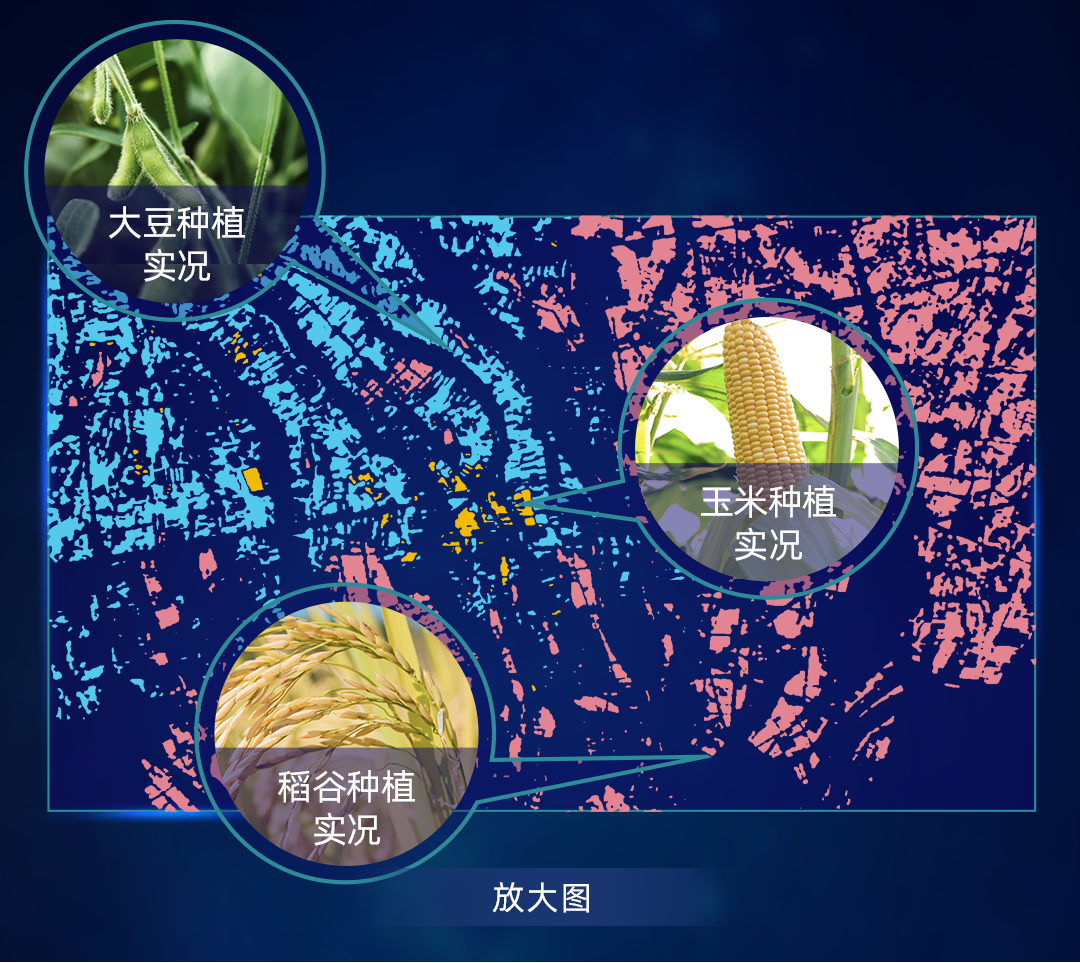 點擊查看大圖 點擊查看大圖