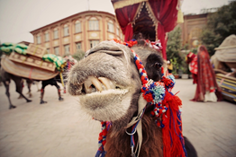 點擊查看大圖 點擊查看大圖