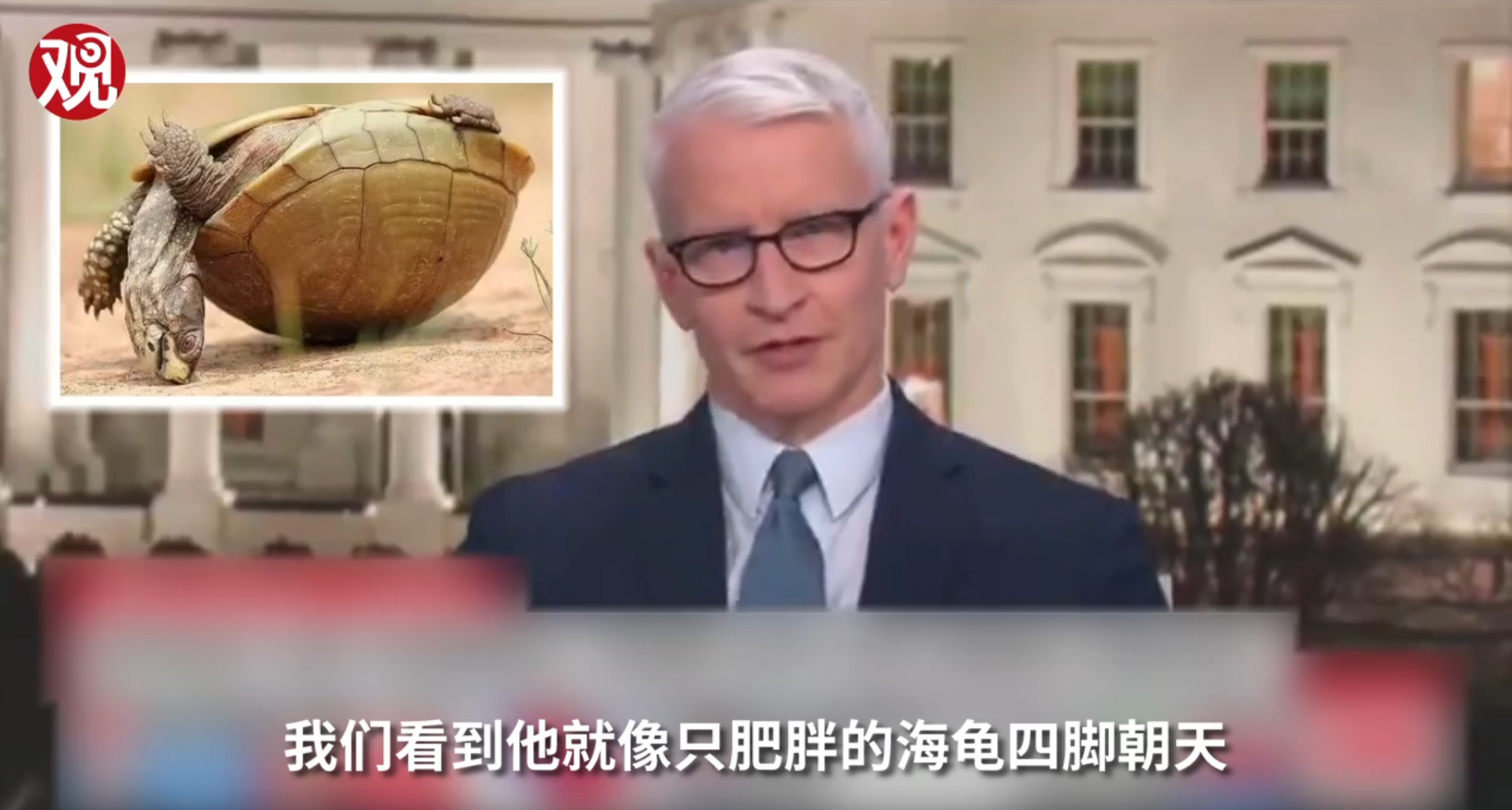 點擊查看大圖 點擊查看大圖