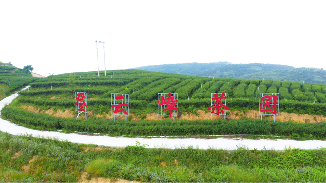 點擊查看大圖 點擊查看大圖