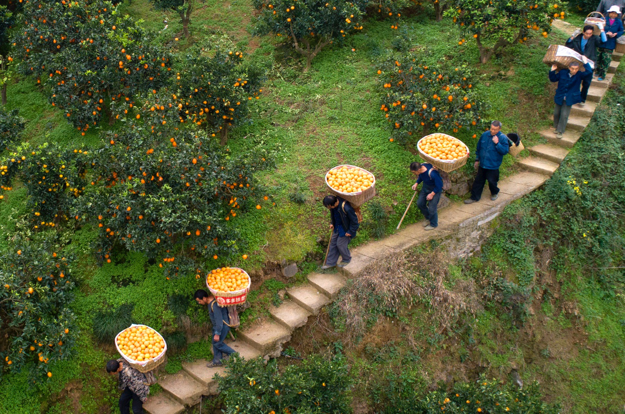 點擊查看大圖 點擊查看大圖