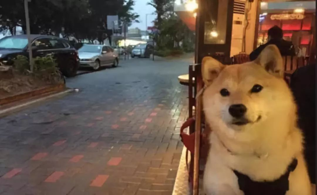 點擊查看大圖 點擊查看大圖