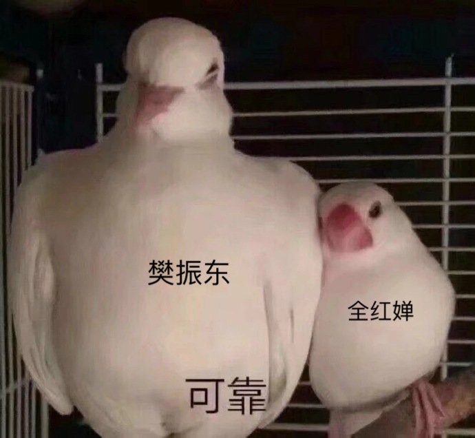 點擊查看大圖 點擊查看大圖