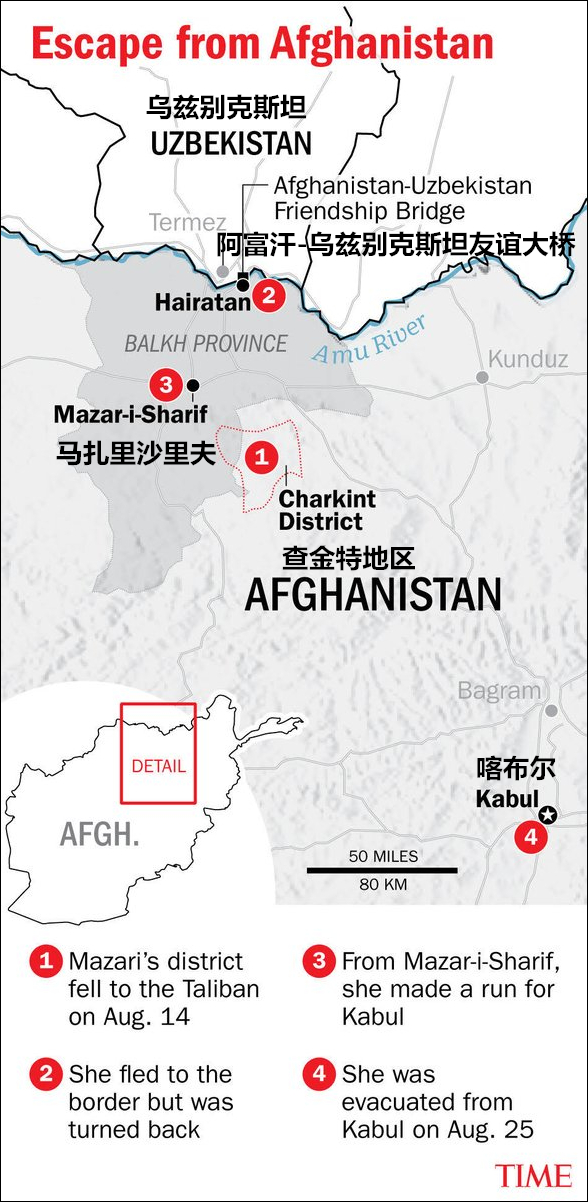 點擊查看大圖 點擊查看大圖