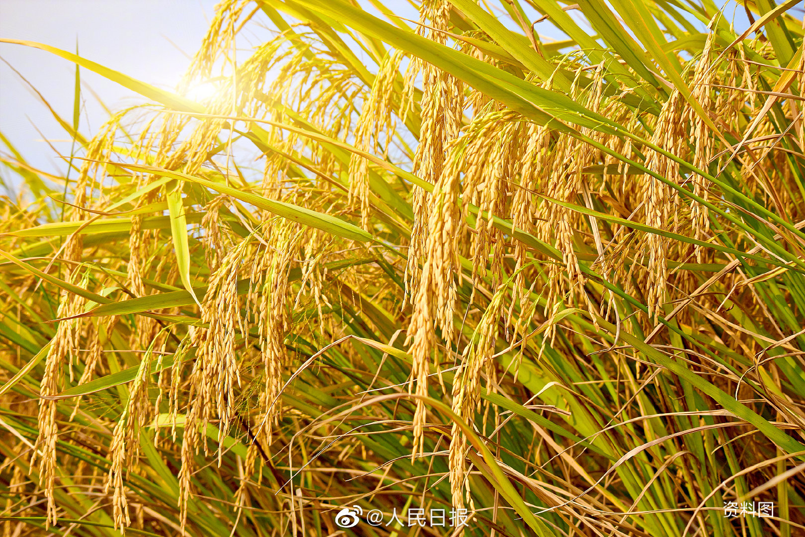 點擊查看大圖 點擊查看大圖