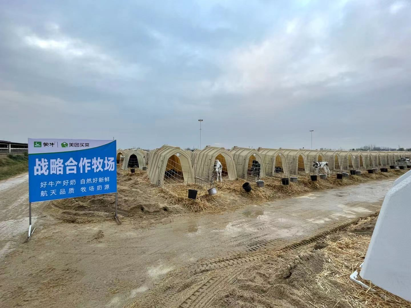 點擊查看大圖 點擊查看大圖