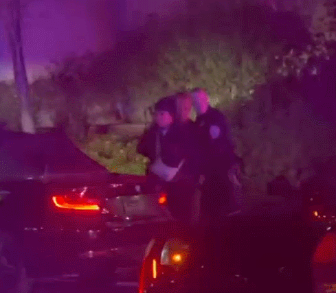 點擊查看大圖 點擊查看大圖