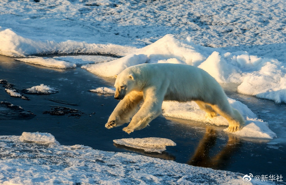 點擊查看大圖 點擊查看大圖
