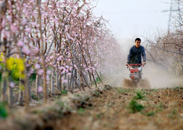 點擊查看大圖 點擊查看大圖