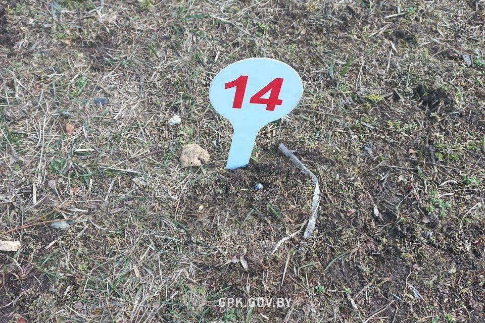 點擊查看大圖 點擊查看大圖