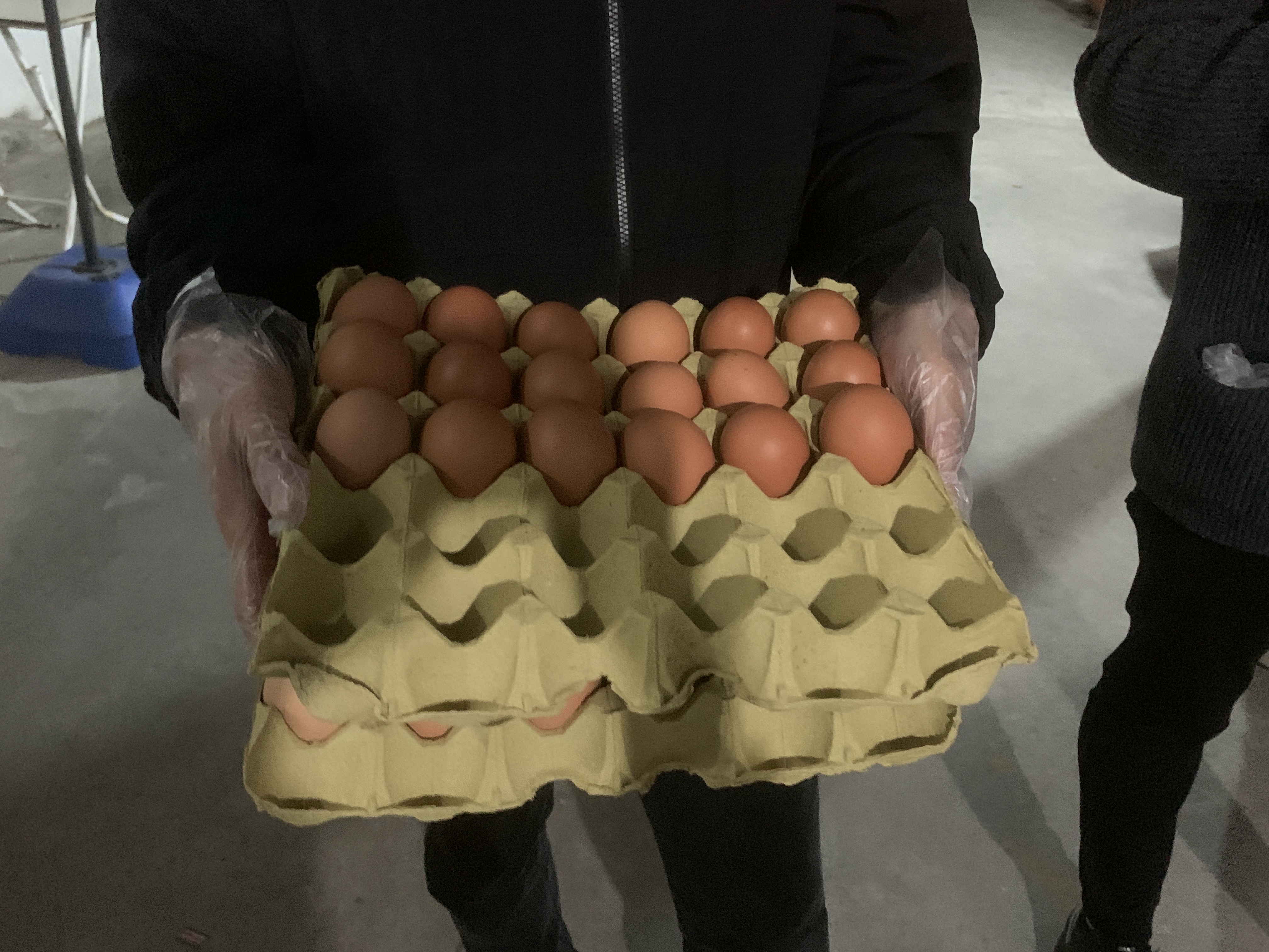 點擊查看大圖 點擊查看大圖