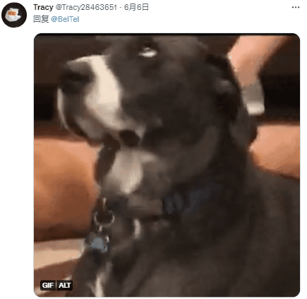 點擊查看大圖 點擊查看大圖