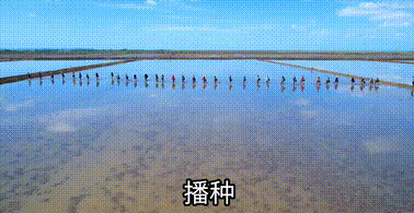 點擊查看大圖