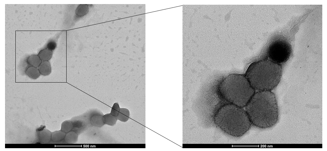 點擊查看大圖 點擊查看大圖
