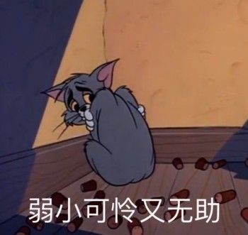 點擊查看大圖 點擊查看大圖