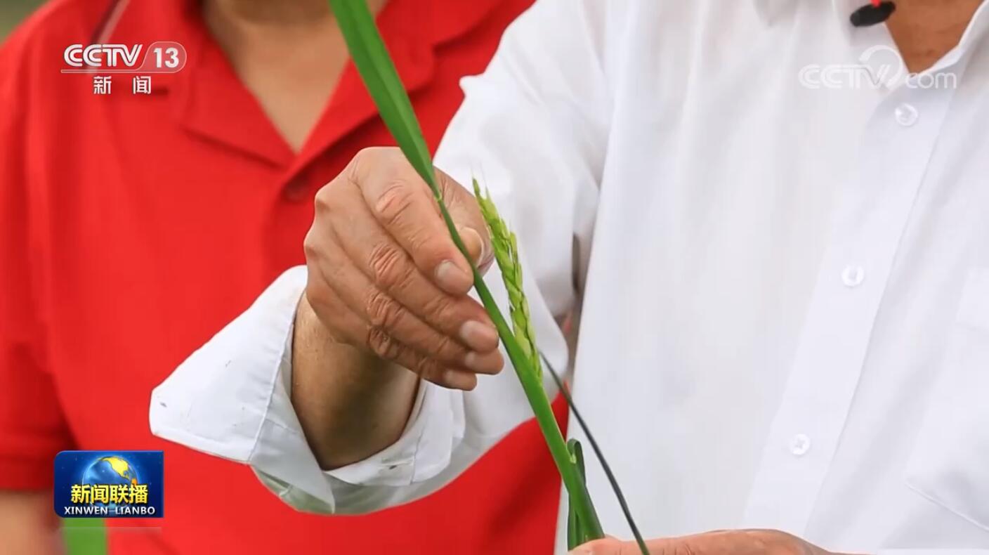 點擊查看大圖 點擊查看大圖