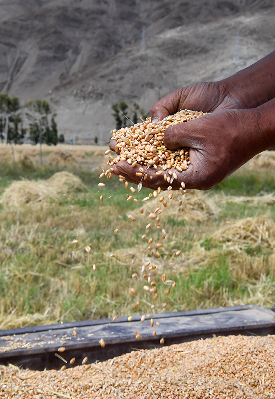 點擊查看大圖 點擊查看大圖