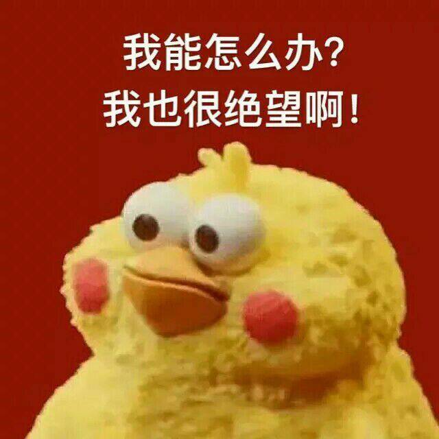 點擊查看大圖 點擊查看大圖