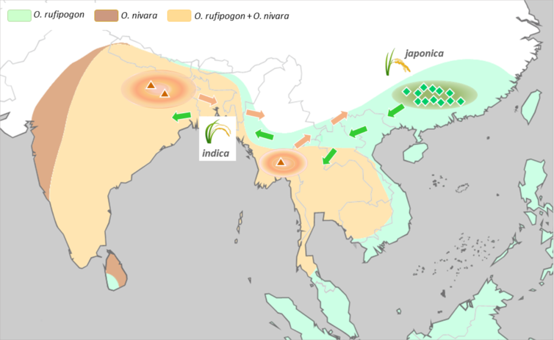 點擊查看大圖 點擊查看大圖