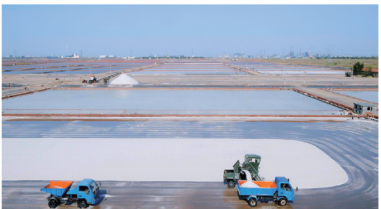 點擊查看大圖 點擊查看大圖